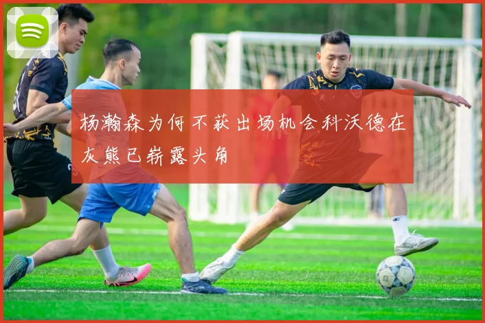 杨瀚森为何不获出场机会科沃德在灰熊已崭露头角