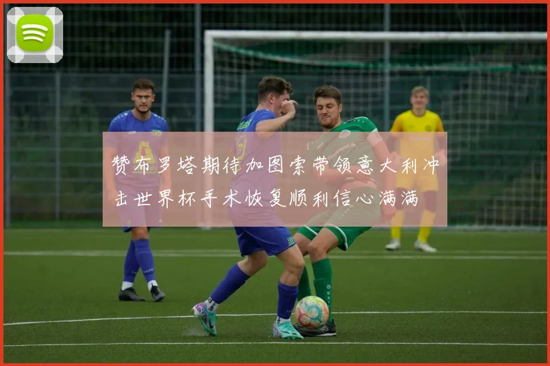 赞布罗塔期待加图索带领意大利冲击世界杯手术恢复顺利信心满满