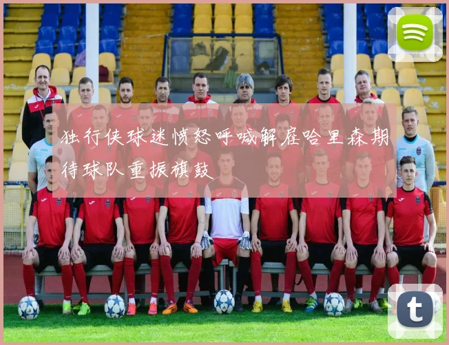 独行侠球迷愤怒呼喊解雇哈里森期待球队重振旗鼓