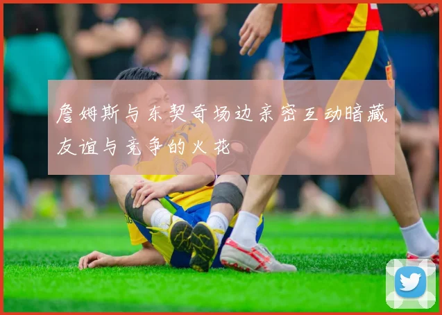 詹姆斯与东契奇场边亲密互动暗藏友谊与竞争的火花