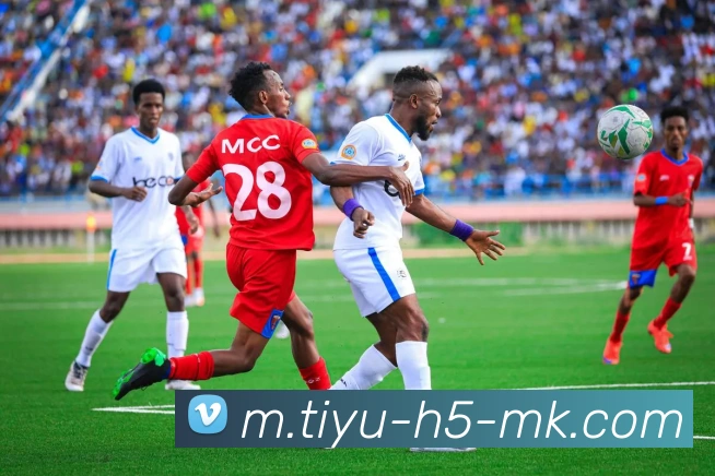 MK体育平台生态图