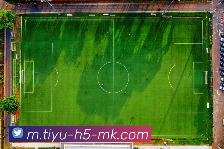 MK体育APP 封面图