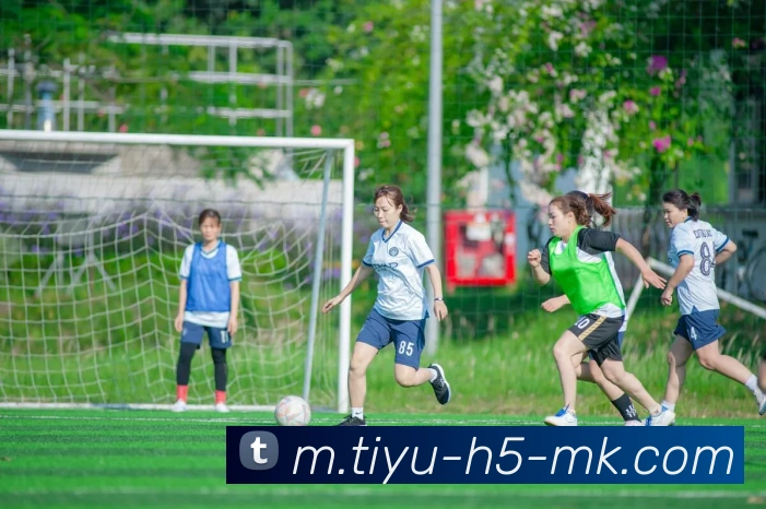 数据防护可视化